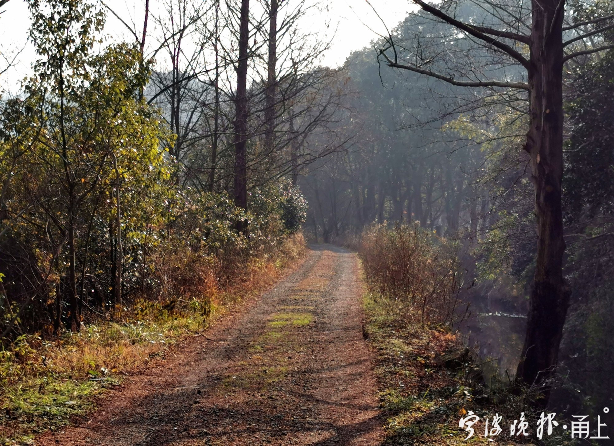 浙江全民健身体系,宁波市全民健身