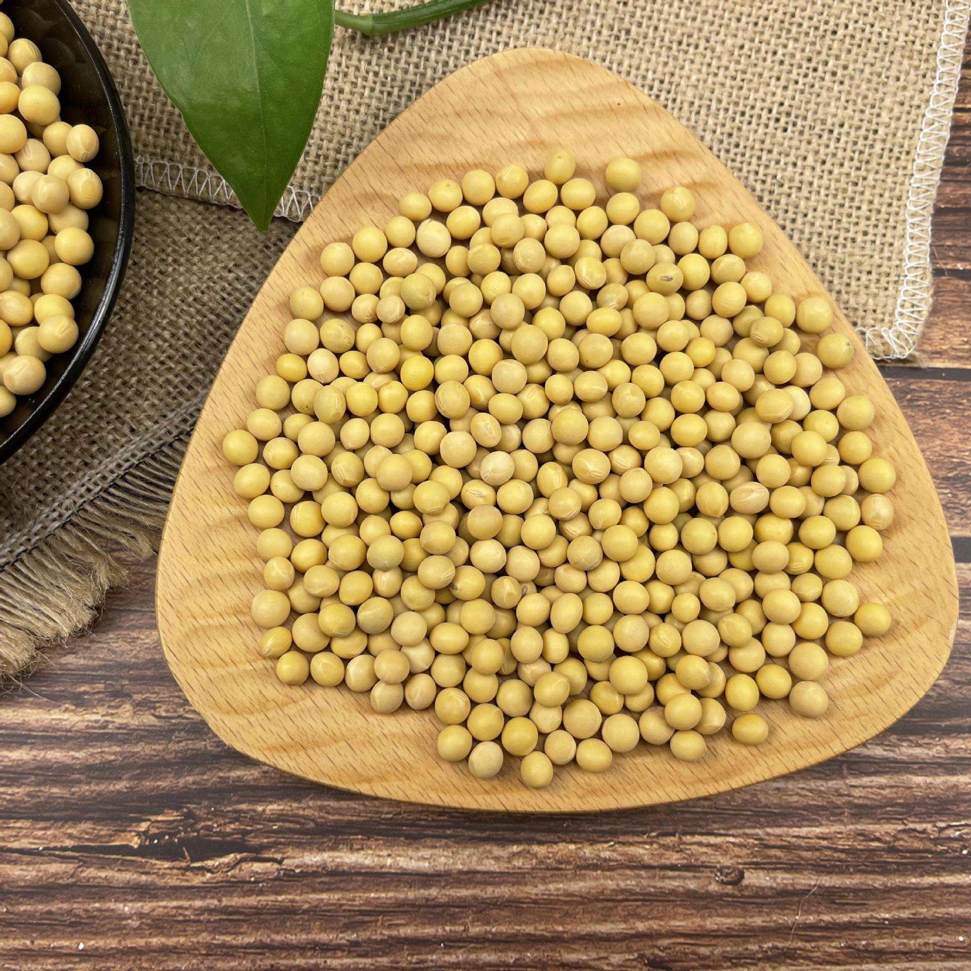 蛊婆、仙娘、草药师大对决，迷信还是本事？揭秘湘西“巫蛊之术”