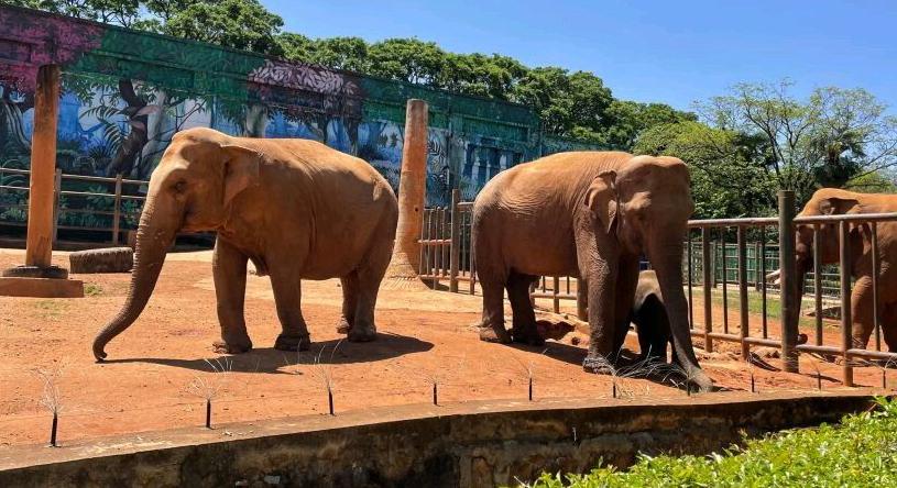 昆明旅行最值得打卡的十大景点,昆明周边湿地公园网红打卡地