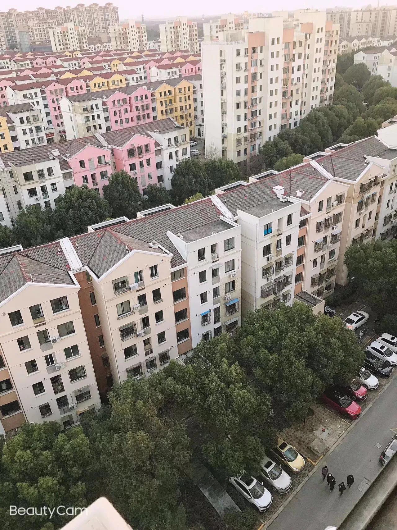 疫情下的上海中介行业,疫情下的卖菜人员