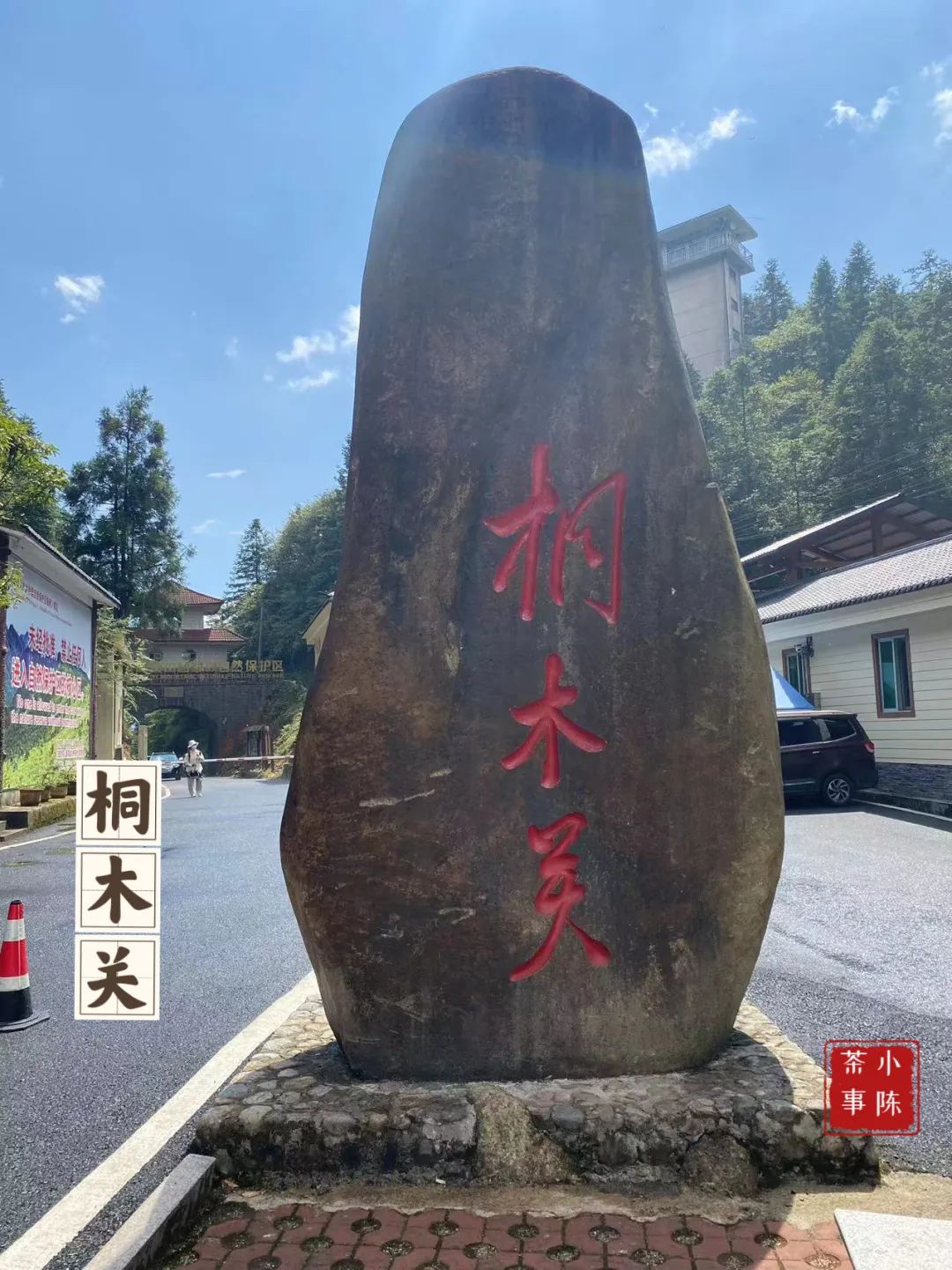 同样是金骏眉为啥桐木关的比较贵,金骏眉武夷山桐木关