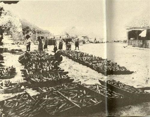 中国最大的渔岛在哪,钓鱼岛有多大有多少人居住