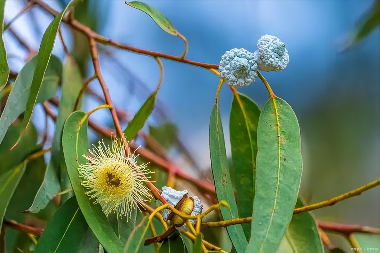 北仑疫情还回得了家吗,北仑疫情出不去了么