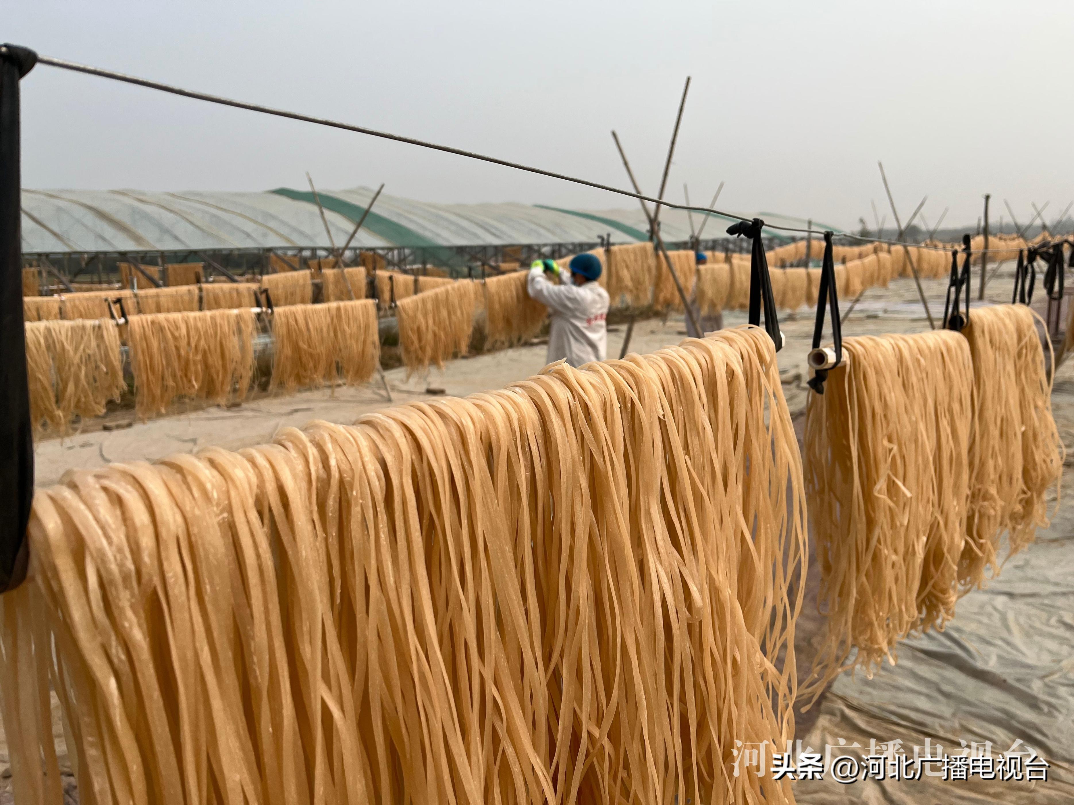深州哪里做红薯粉条,农广天地红薯深加工
