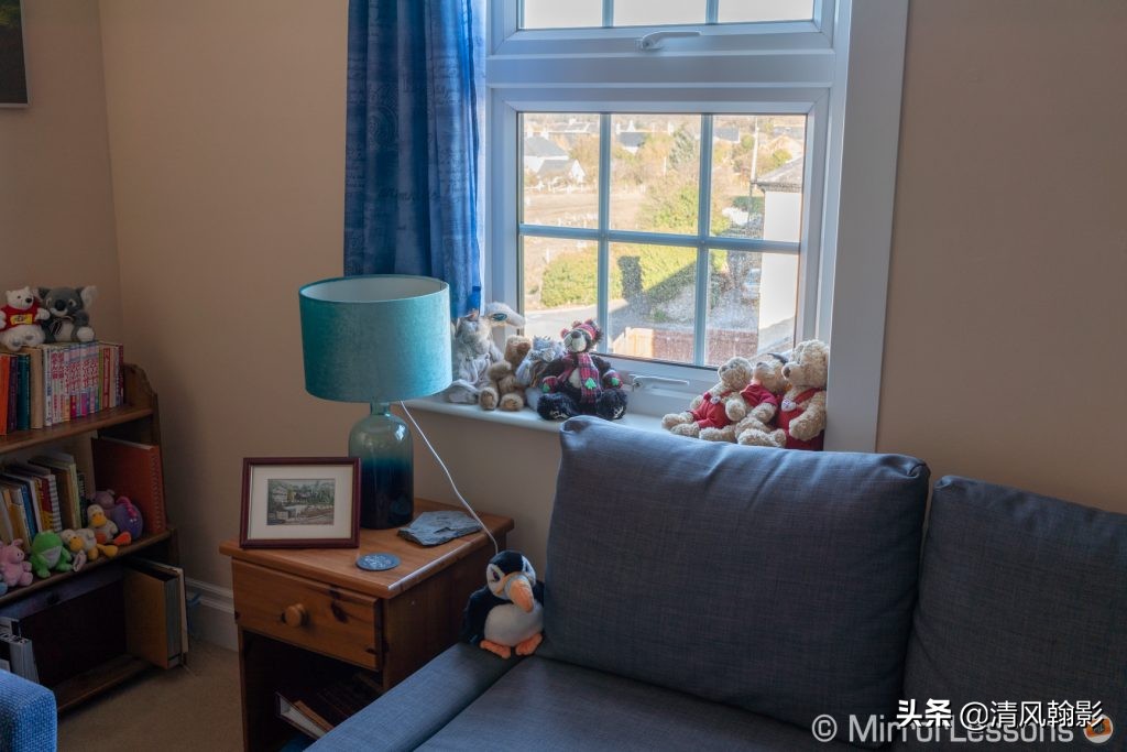 拍鸟用尼康d6好还是z7ii好,拍鸟买r6还是r5