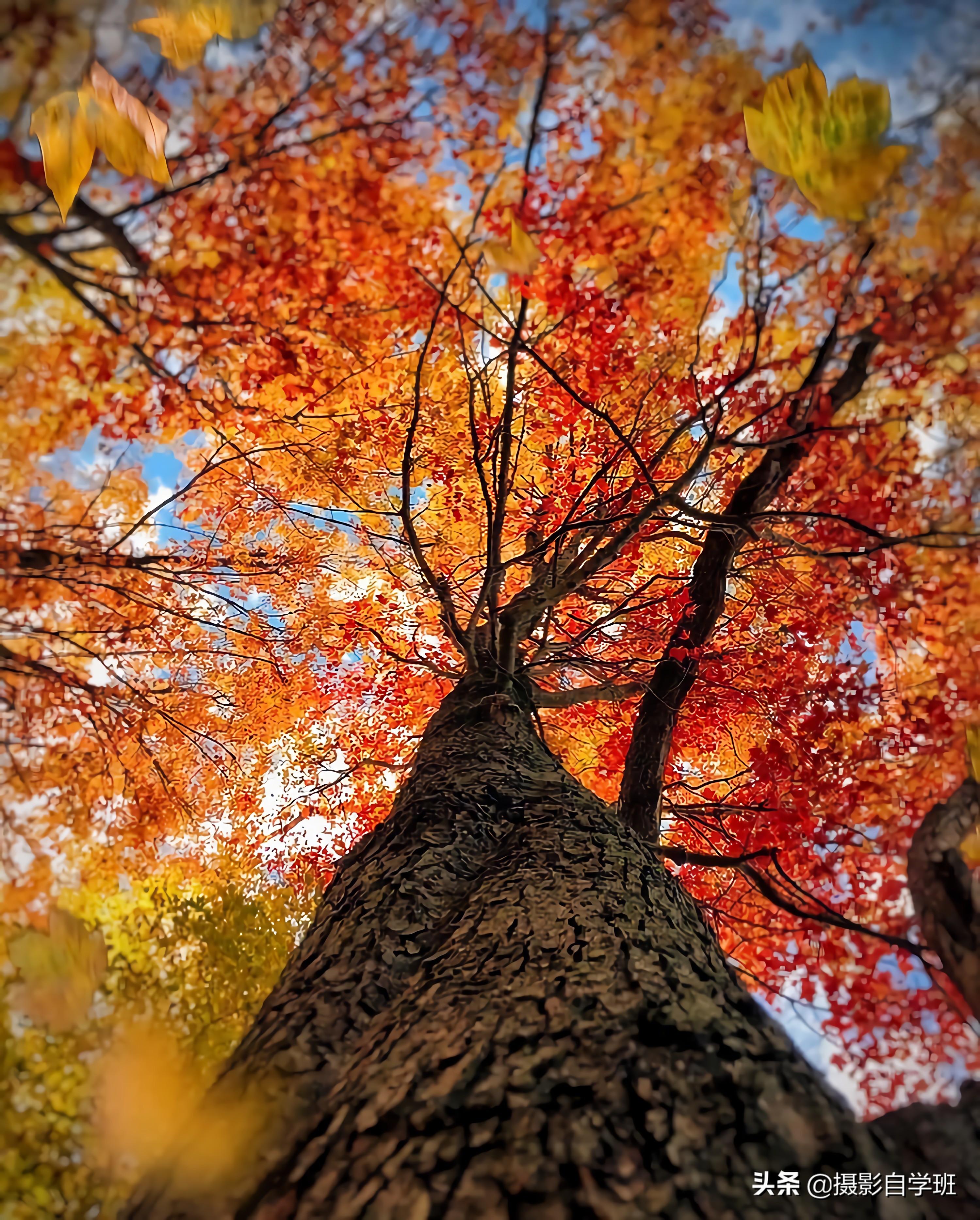 拍美景技巧室内,新手拍人像风景选什么相机