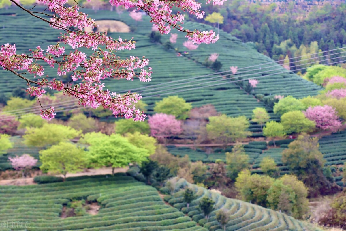 二月适合去哪旅游4天,二月适合去哪里旅行最好