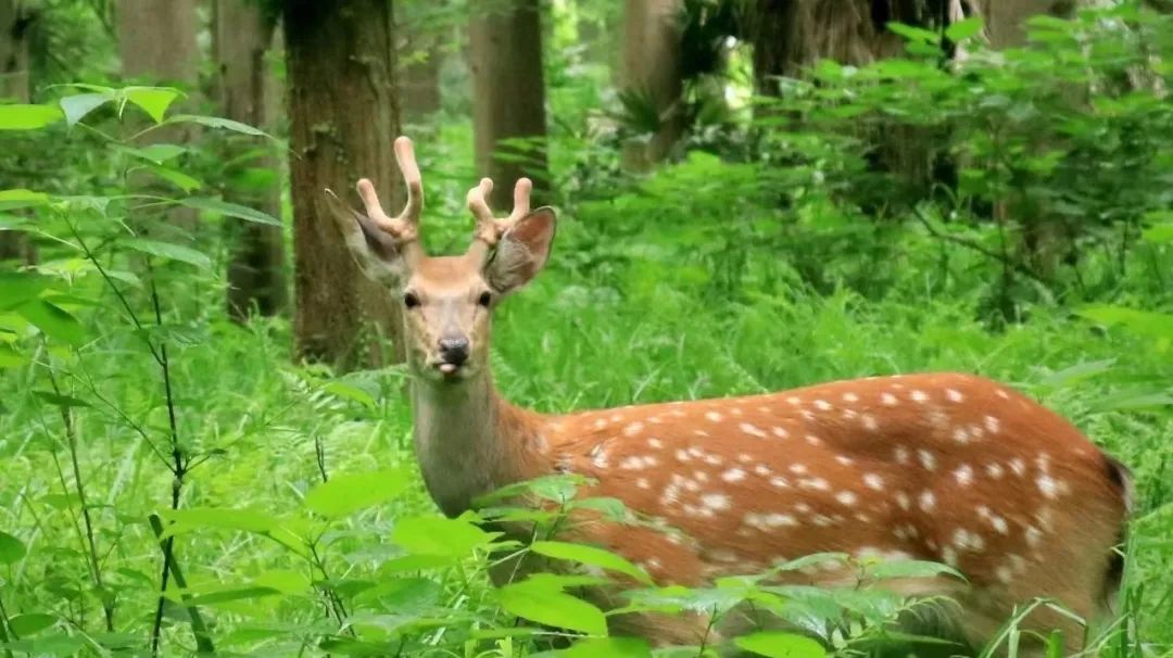 上海露营卡丁车哪里好玩,魔都自驾露营怎么玩