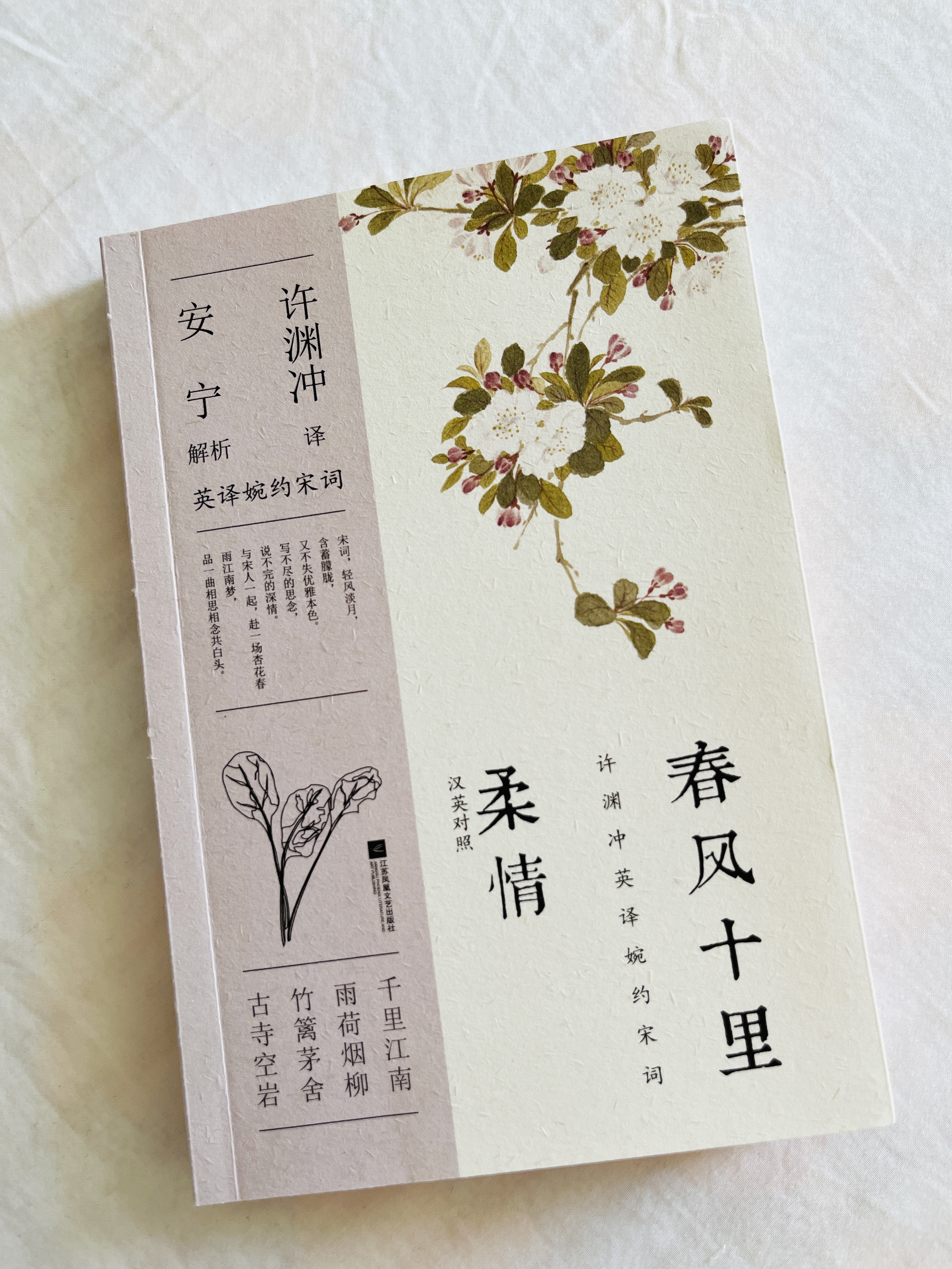 从别后，忆相逢，几回魂梦与君同|《春风十里柔情》