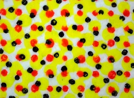 包材采购需要知道的基本知识,包材采购总结及经验