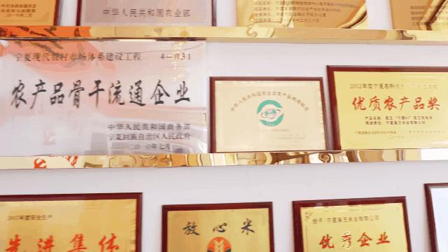 宁夏昊王米业加工,昊王米业