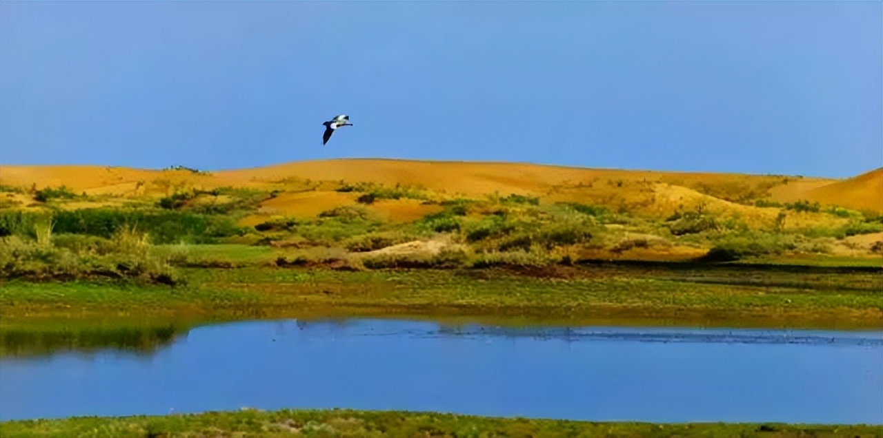 今非昔比下一句怎么说呢,今非昔比翻译