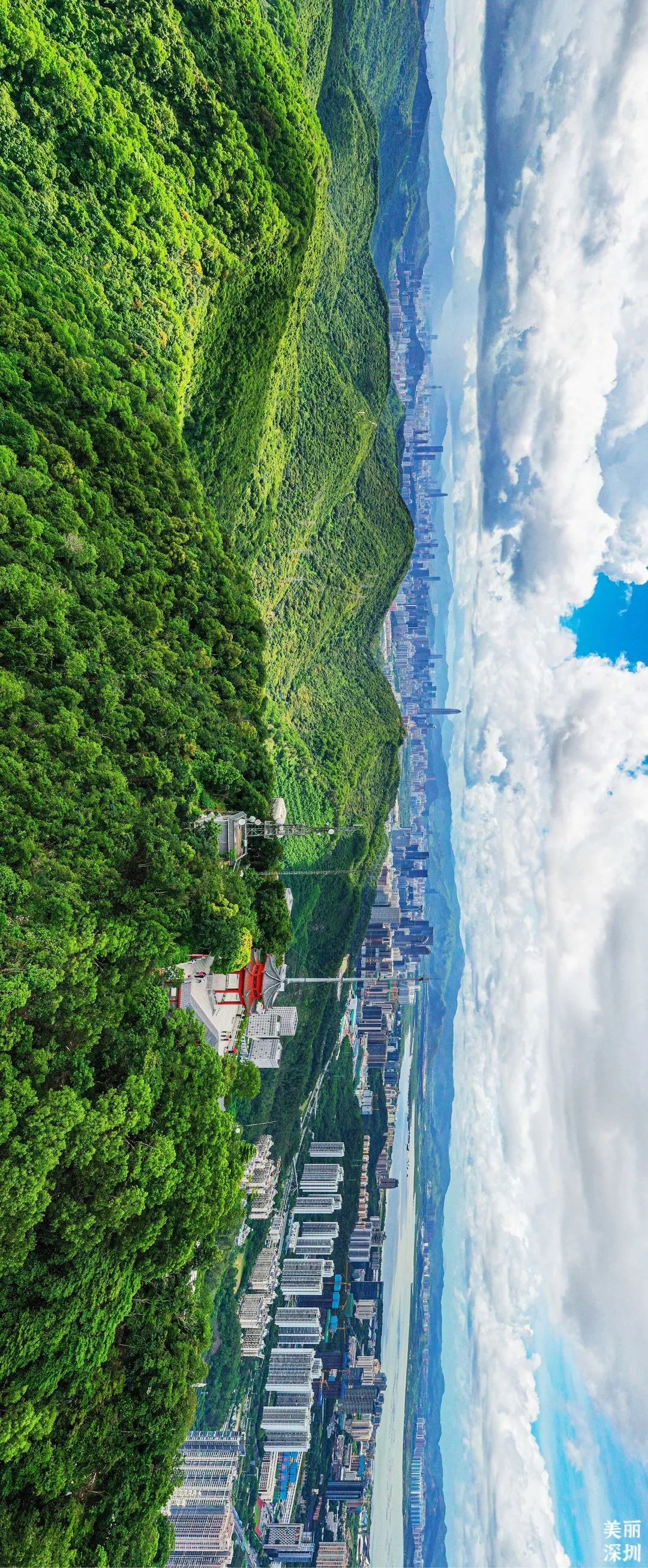 深圳莲花山公园航拍,航拍深圳凤凰山公园