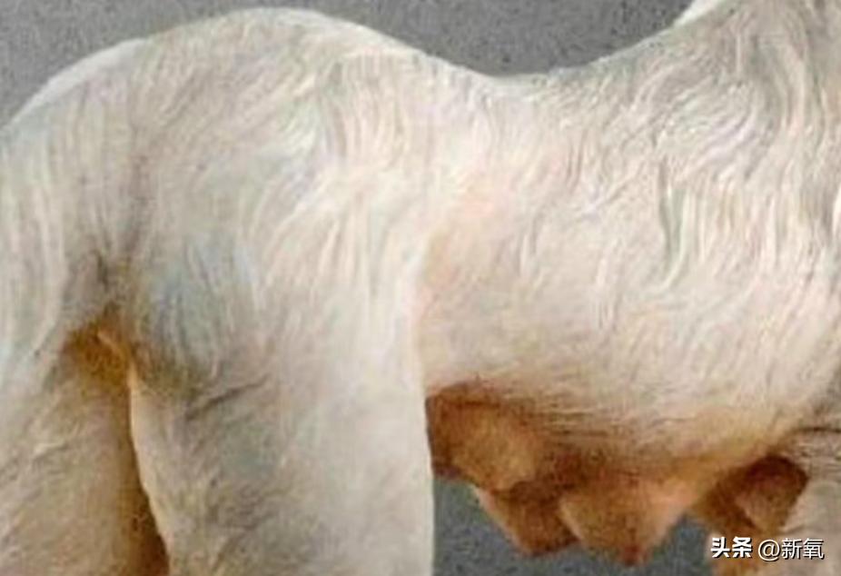 花十亿就拍了个这？我真的不想看她的大胸造型啊…