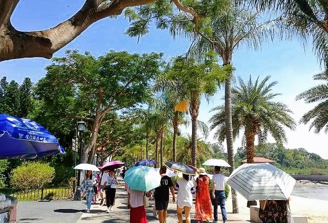 厦门鼓浪屿之行畅游鼓浪屿,去了厦门鼓浪屿的感受