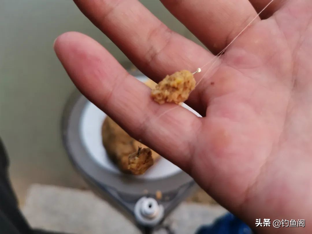 秋季野钓用腥味好还是香味好,四川秋季用腥饵还是香饵