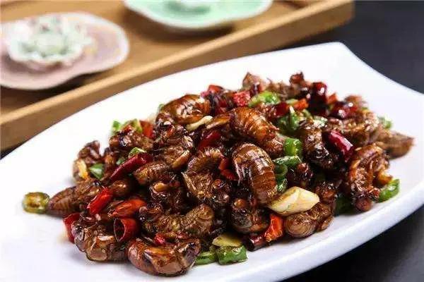 老年人高蛋白食物食谱一览表,适合老年人吃的低脂食物