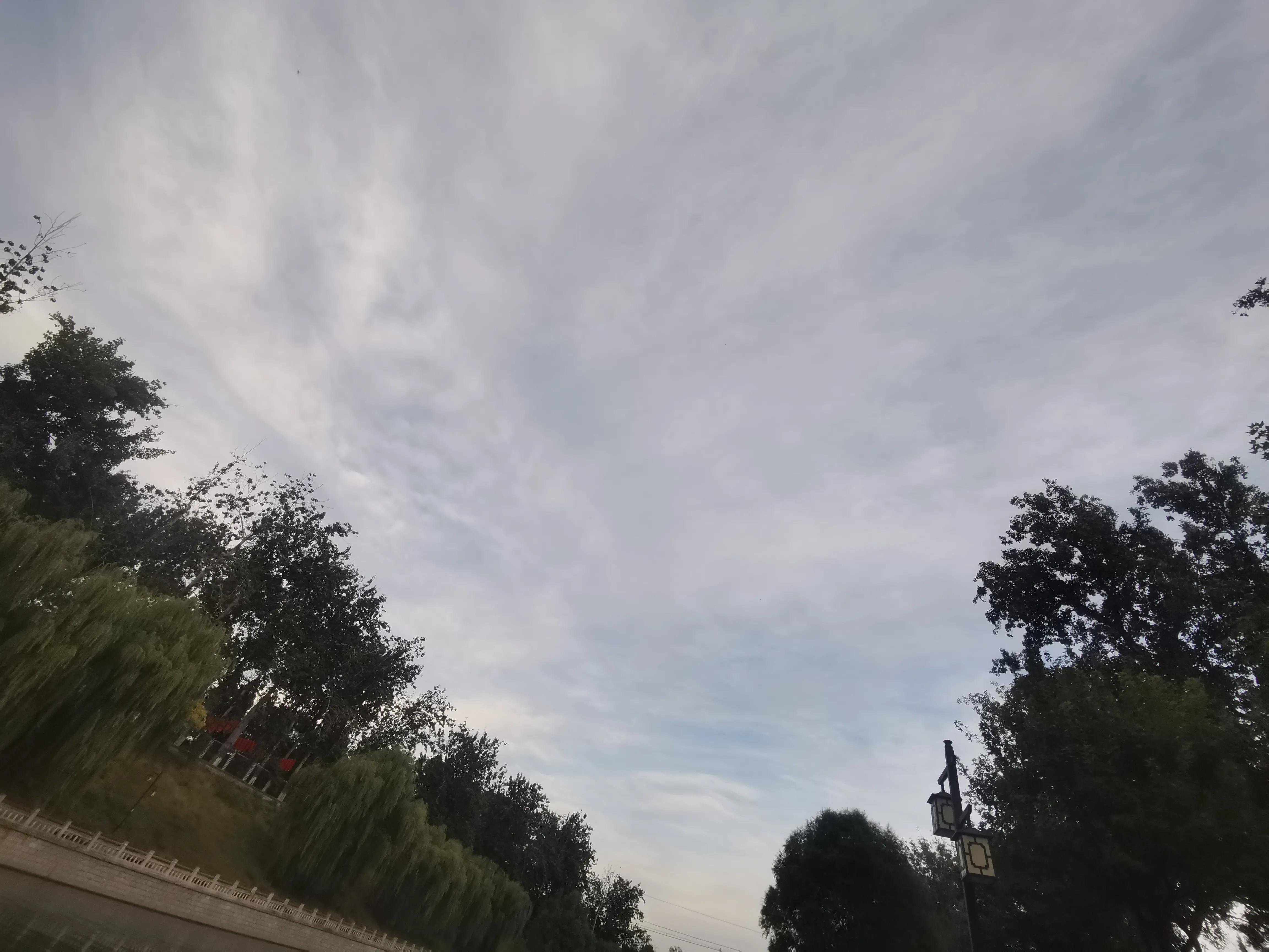 直肠癌肝转移肺,直肠癌肝转移靶向治疗