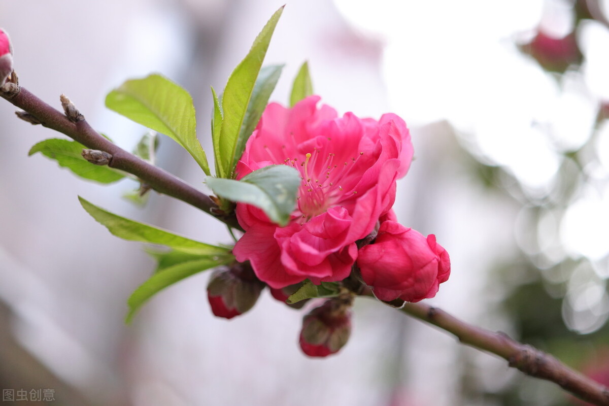成绩差怎么办心理学,成绩差怎么办数学