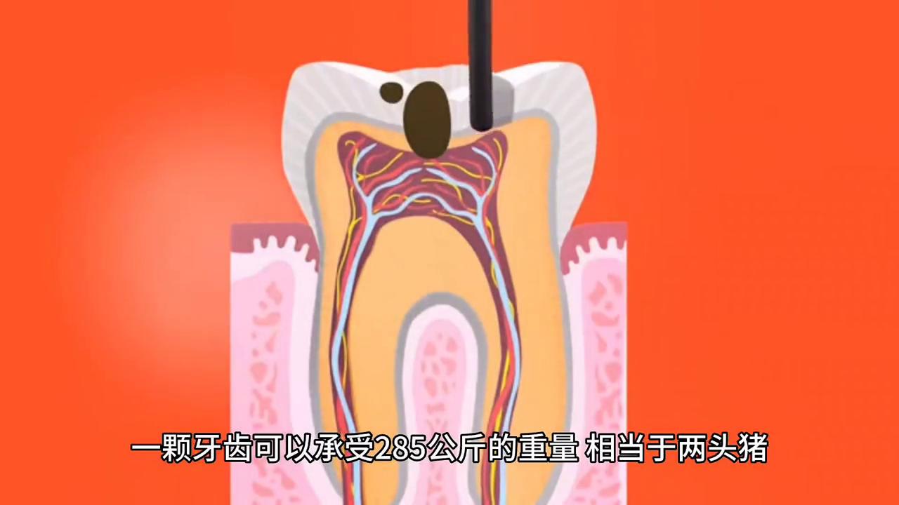 禁止废话为什么越睡觉越困,禁止废话为什么越喝水越渴