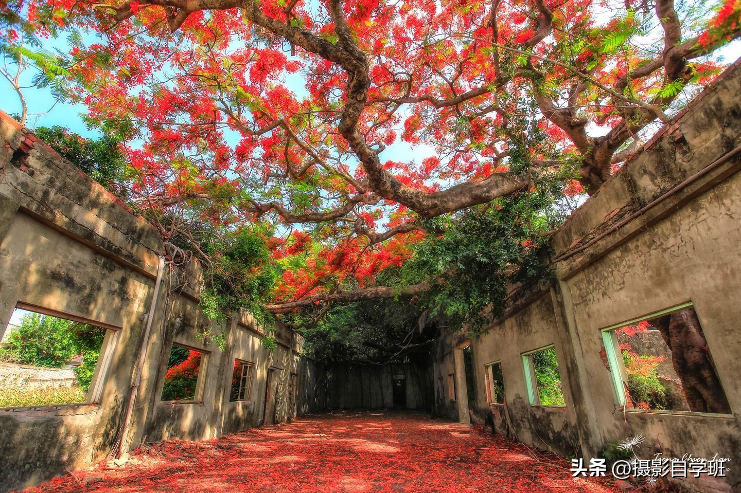 夏天景色摄影技巧与方法,迷人风景摄影拍摄技巧