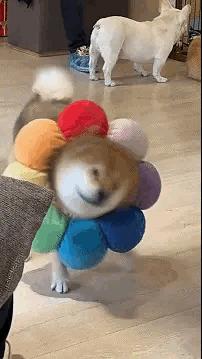 屏幕上出现五条白线什么意思,当屏幕出现五条虚线的时候