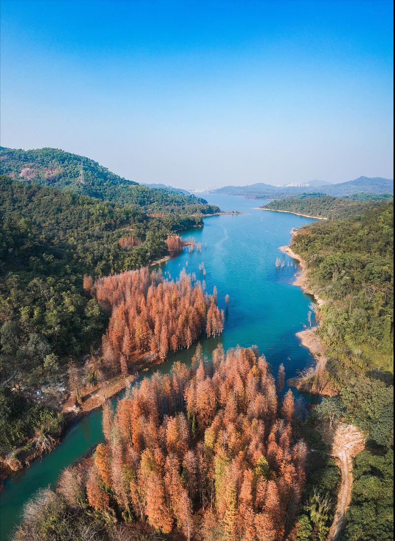 中国12个袖珍县级市,中国唯一不设区的地级市