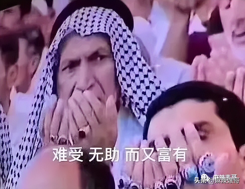 金晨模仿卡塔尔小王子自拍,金晨模仿卡塔尔王子自拍引热议