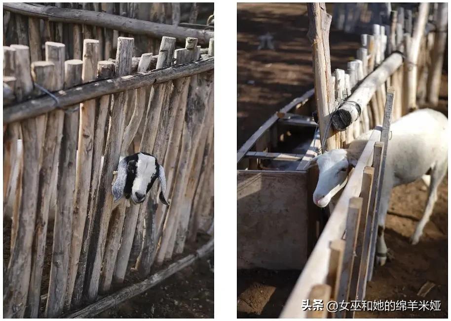 探索中卫／不止是旅行，也是生活