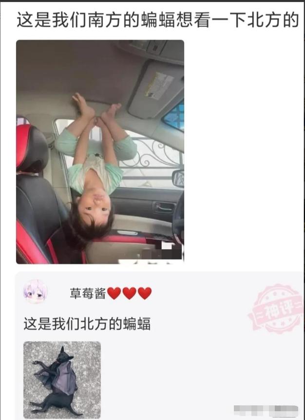 神回复：真假美猴王？哪个才是真的蜜雪冰城？神评亮了啊