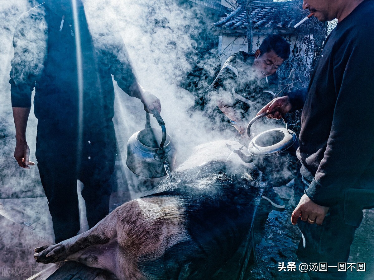 人死后猪肉为什么会腐烂,人死后会腐烂猪肉为什么没事