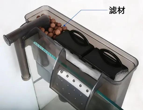 鱼缸里面长水藻怎么办,鱼缸里有水藻怎么处理