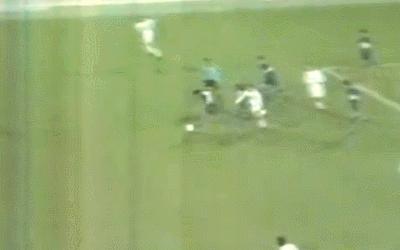 梅西里克尔梅庆祝阿根廷夺冠,阿根廷vs德国2006里克尔梅