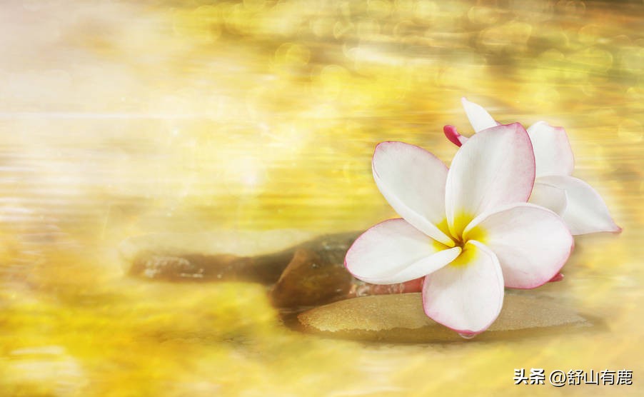 最不值钱的四个传家宝,什么才是真正的传家宝