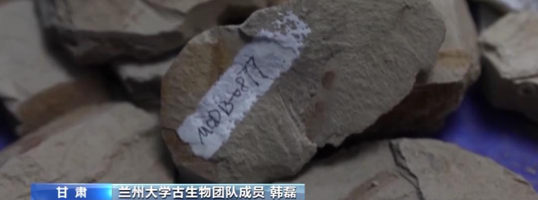 痛惜！28岁年轻妈妈走了，女儿的一句话让人泪崩…【新闻早七点】