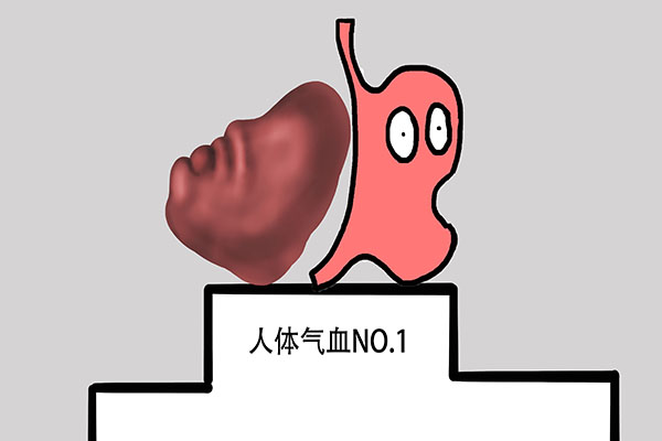 体内湿热吃什么降火药好,夏天祛湿热健脾胃最有效的方法