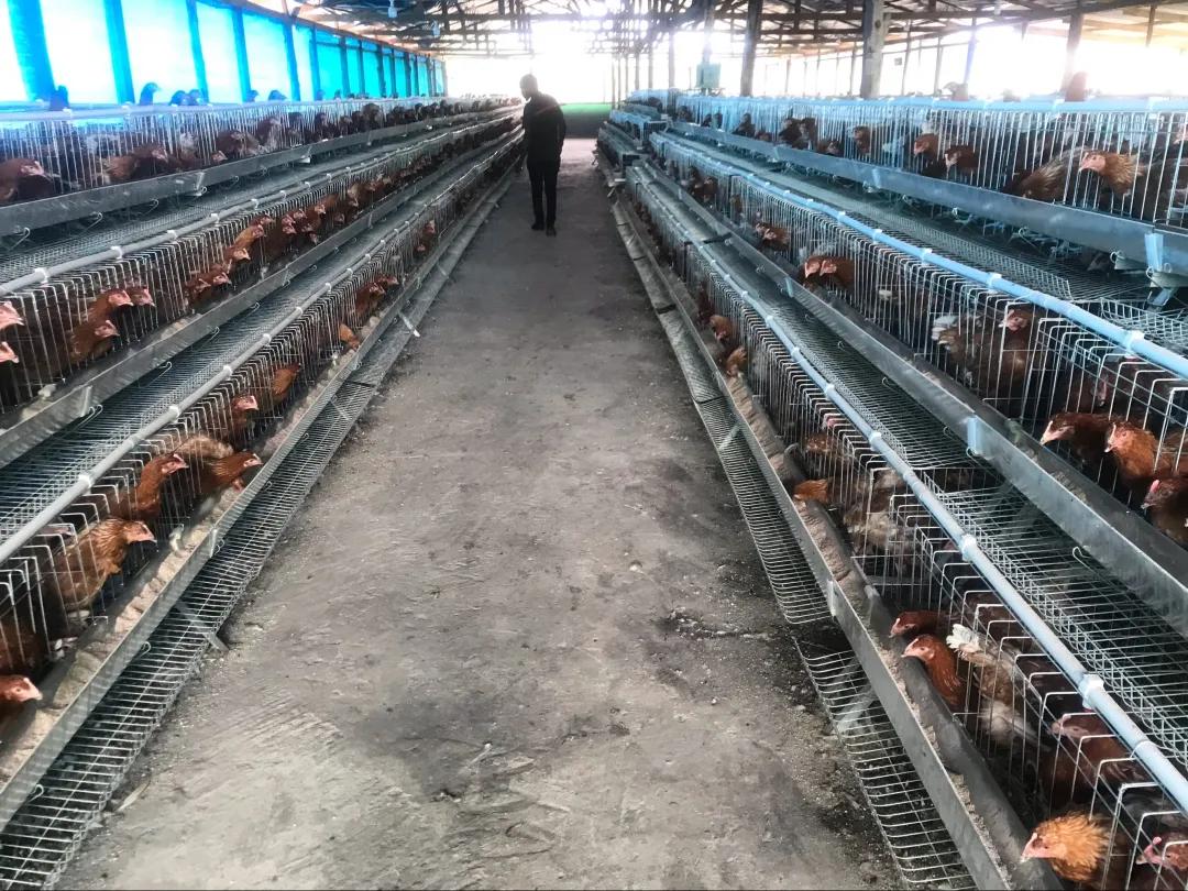 老汤创业,老汤生活记录