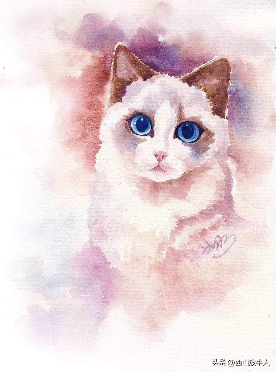 周晓枫散文在线阅读 (周晓枫散文阅读札记)