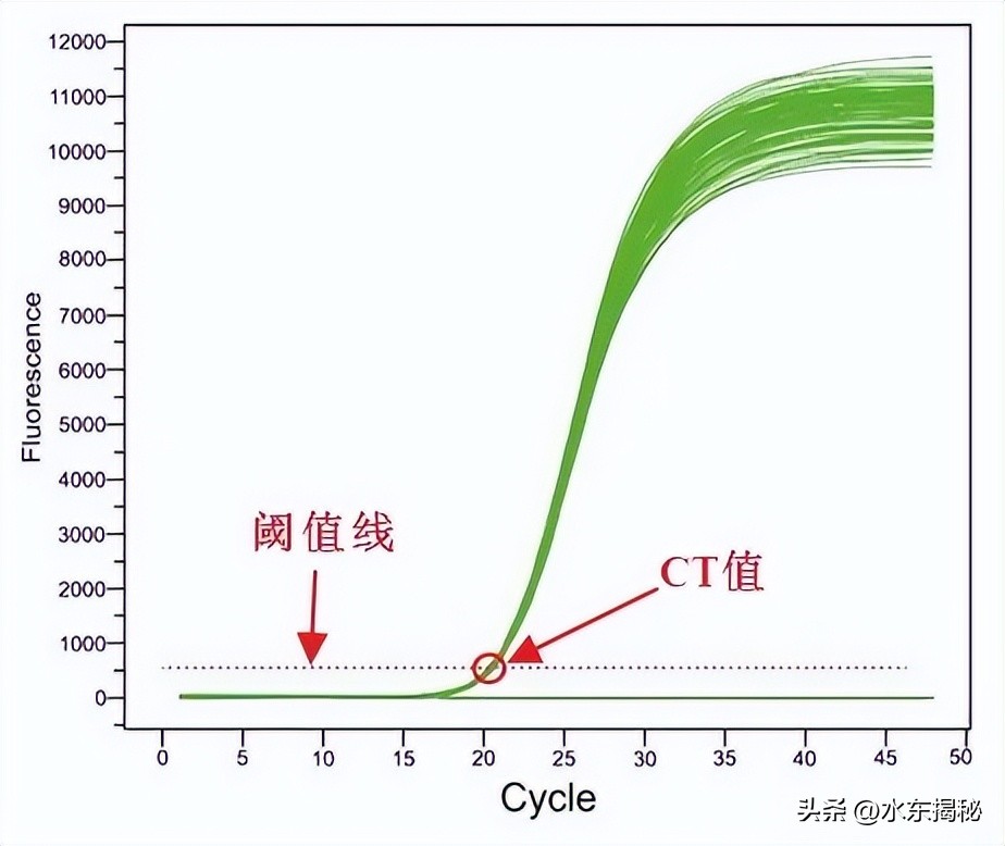 你真的了解过核酸吗,核酸检测第1次是阳性第2次是阴性