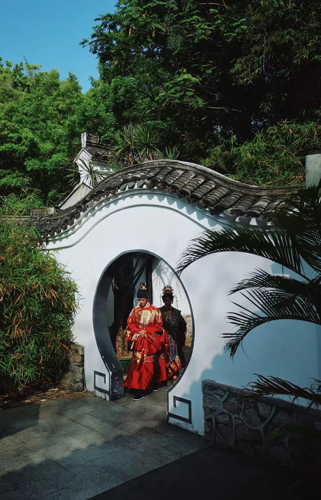 黄梅戏游园惊梦牡丹亭寻梦,寻梦牡丹亭游园惊梦