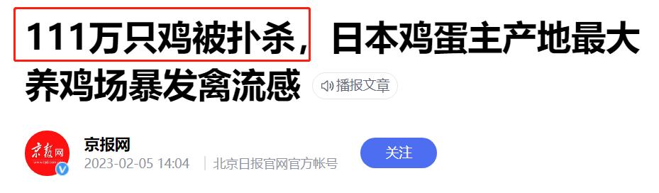 连麦当劳都无蛋可用?台湾这波缺蛋够狠