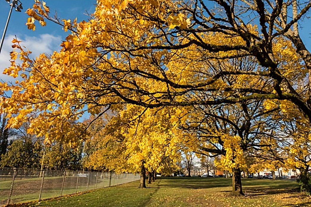 波兰农业现状,波兰产业结构最新