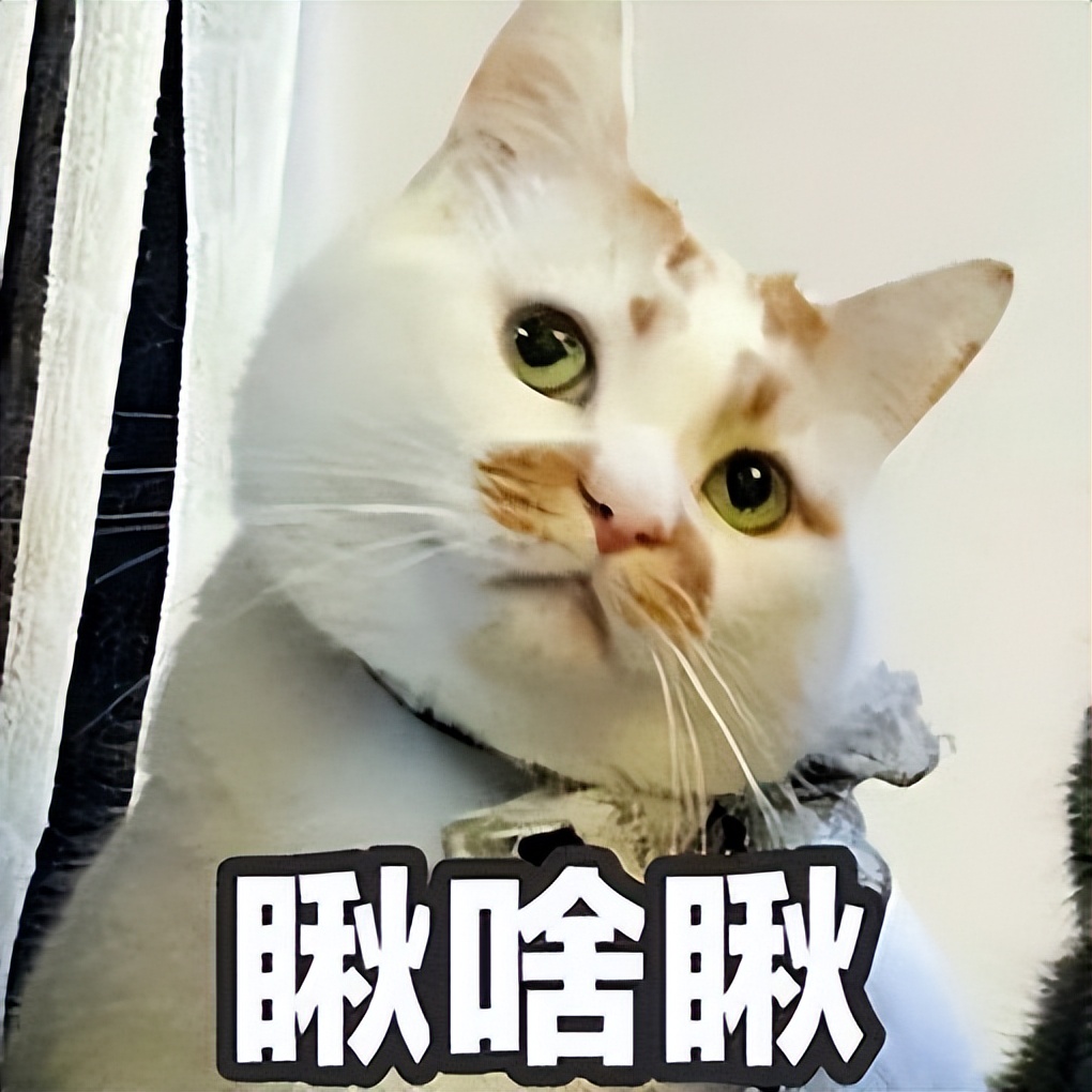 为什么猫咪爱吃电线,猫咪爱咬人手怎么办特别狠