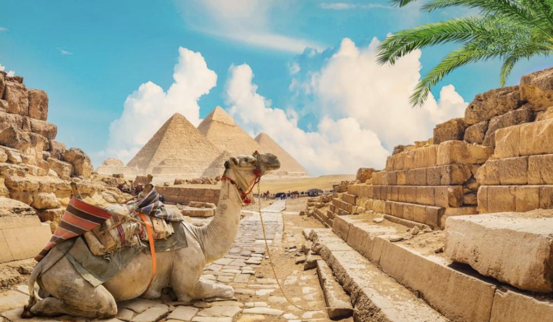 最新免签和落地签国家一览表,免签落地签推荐去哪里