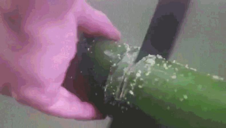 端午包竹筒粽子,2021端午节自制清香美味的竹筒粽