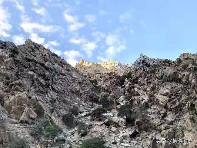 王林：忆62师贺兰山勘察与设防