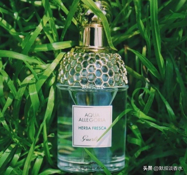 香水各种香调介绍 (香水十大香调科普)