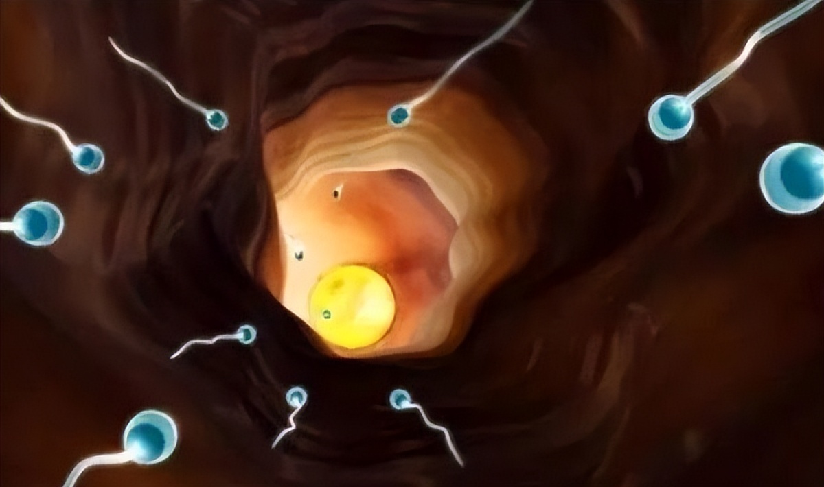 二亿分之一的中奖率,为什么几亿个精子受孕概率还不高