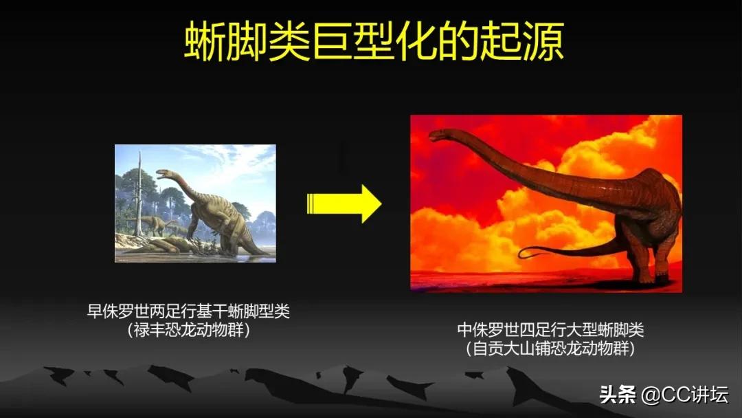 海洋恐龙和陆地恐龙,海洋恐龙与陆地生物对比