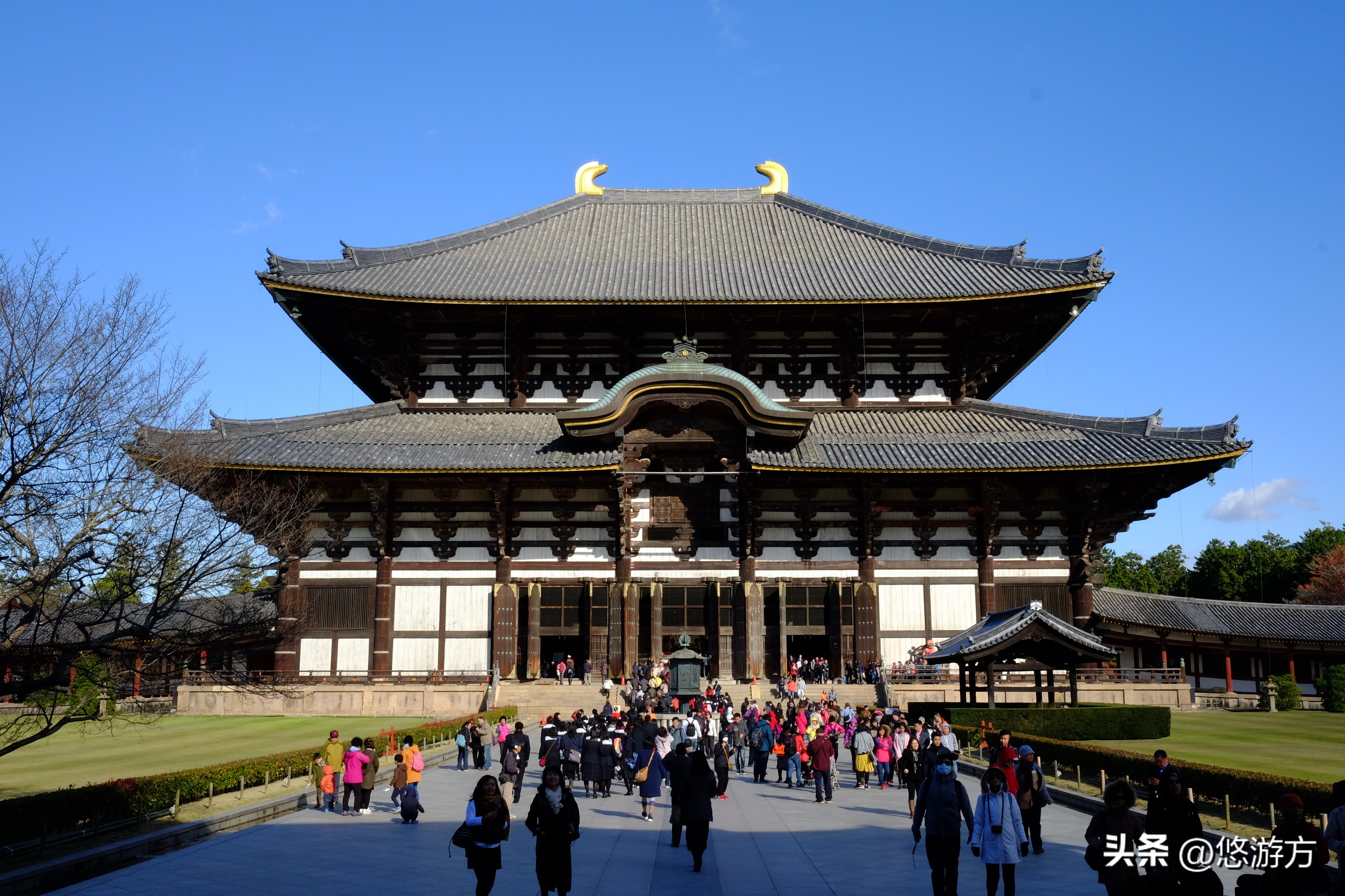 日本旅游攻略6天5夜官网,旅行团6天4夜日本游